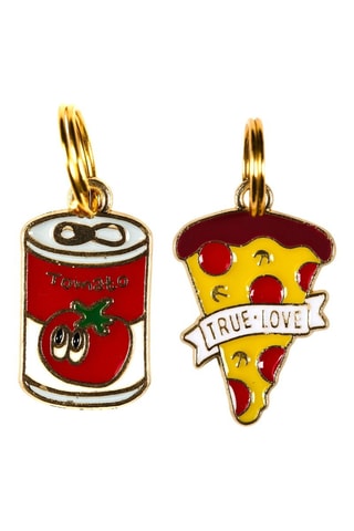 Dúo de colgantes para collares de mascotas - Modelo aleatorio