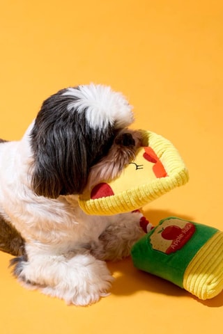 Juguetes para perro - 2 piezas