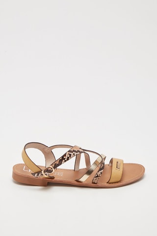Sandalen Dazio Beige en Bruin