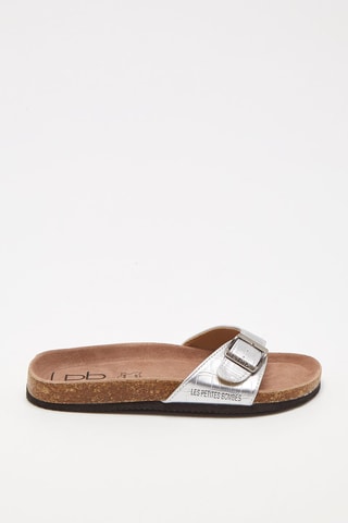 Muiltjes Zilverkleurig