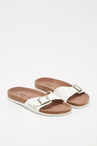 Muiltjes Zilverkleurig