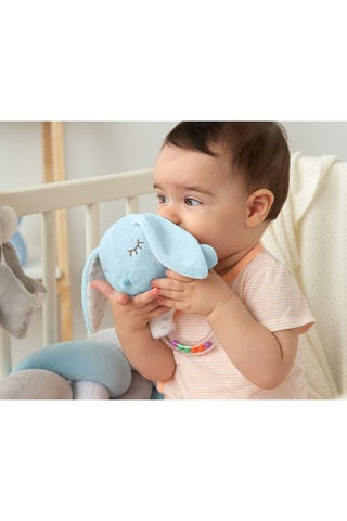 Sonaglio - Dalla nascita