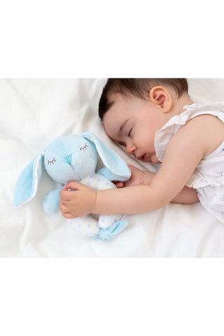 Sonaglio - Dalla nascita