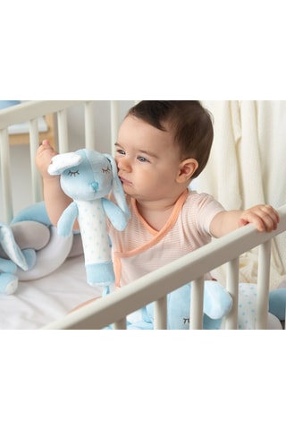 Giocattolo dentizione