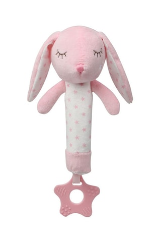 Giocattolo dentizione