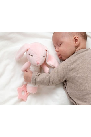 Giocattolo dentizione