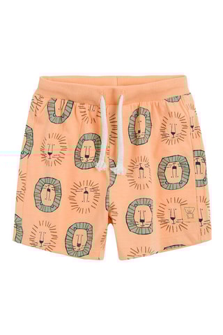 Calções Salmão e verde-água