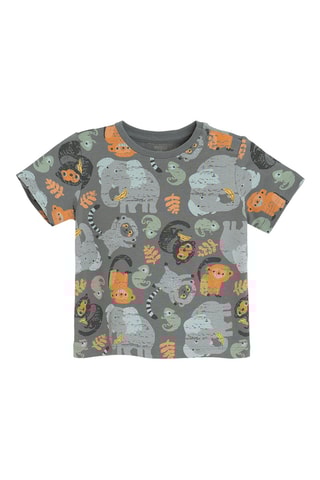 T-shirt e calções - Toupeira