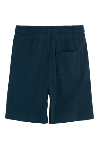 2 calções - Azul-pato