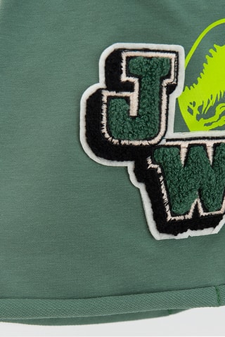 Gorro Jurassic World - Verde-água