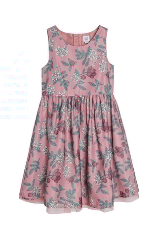 Vestido Rosa-velho e verde-água