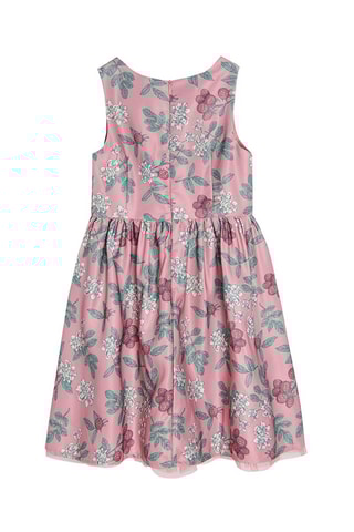 Vestido Rosa-velho e verde-água