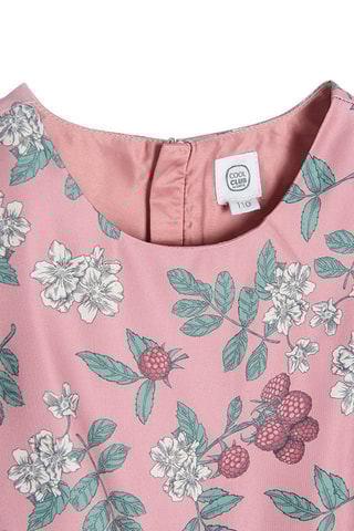 Vestido Rosa-velho e verde-água