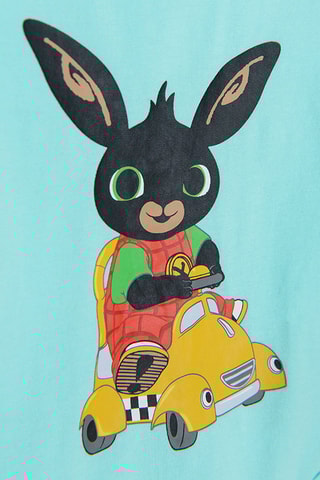 Body Bing Bunny Fisher Price Verde