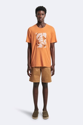 Bermuda slim - Marrone