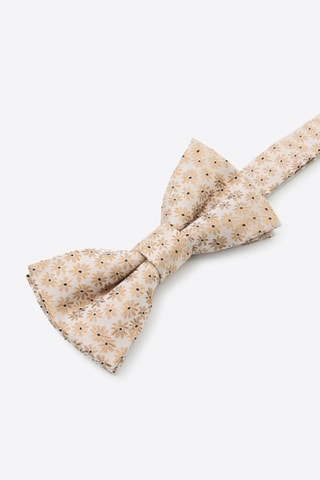 Papillon in seta - Beige