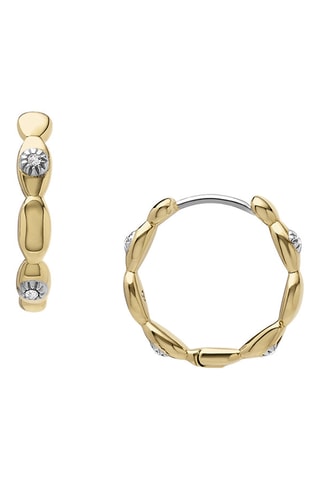 Créoles Sutton - Zircon