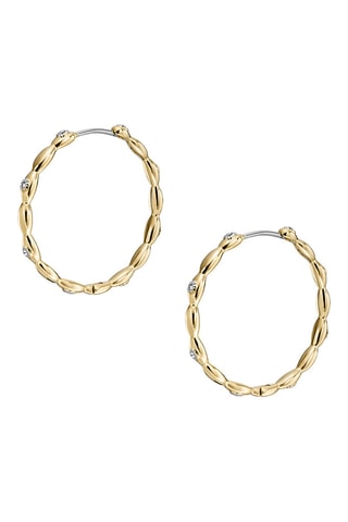 Créoles Sutton - Zircon