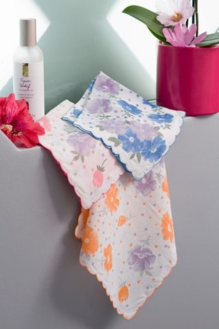 12 lenços Bernis - Multicores