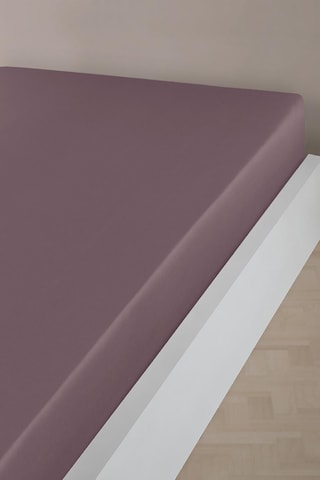 Lençol-capa em algodão penteado 83 fios/cm² - Toupeira