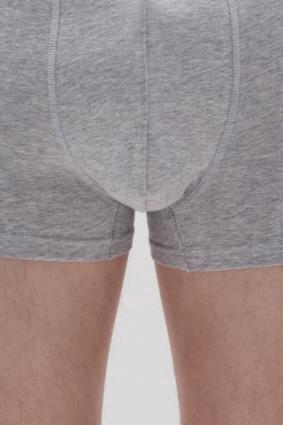 Boxers em algodão biológico - Cinzento mesclado