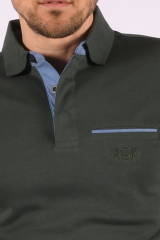 Polo  - Azul y verde