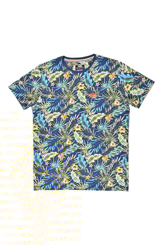 Camiseta - Azul, gris y verde