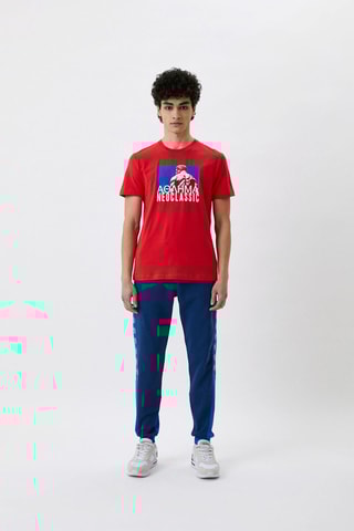 Camiseta slim fit - Blanco, rojo y azul