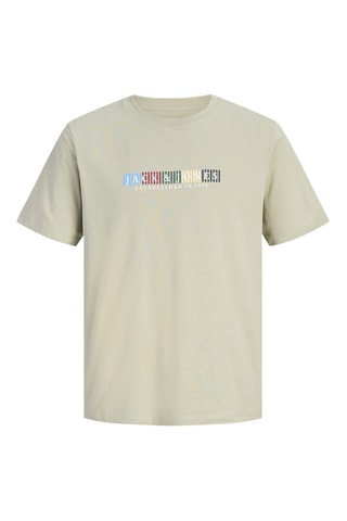 T-shirt regular en coton biologique - Kaki