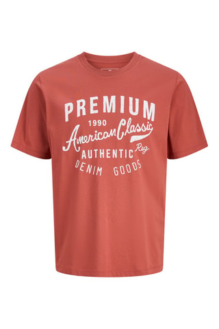 T-shirt regular en coton biologique - Rouge brique