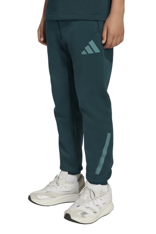 Pantalon didas Z.N.E. - Vert