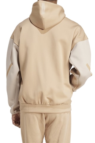 Sweat à capuche Z.N.E - Marron clair et beige