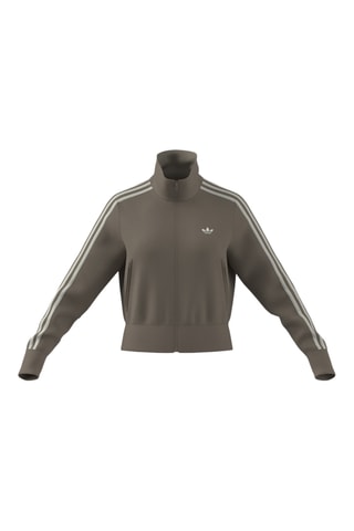 Sweat de survêtement Firebird - Marron