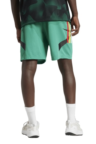 Short House of Tiro - Vert d’eau