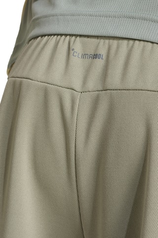 Short regular Essentials - Argenté et kaki