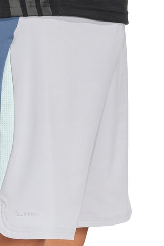 Short regular d'entraînement - Gris clair