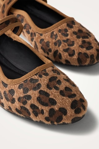 Ballerines Cleo - Marron