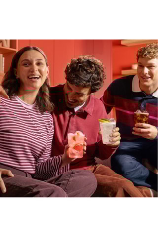 6 concentrés Grenadine Sans Sucres - 6 x 440 ml