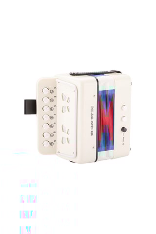 Accordéon en bois et son carnet de musique - Dès 3 ans