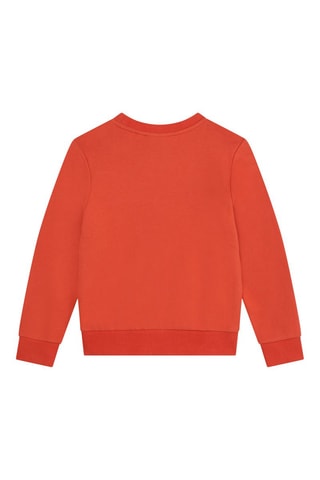Sweat en coton biologique - Orange - Timberland