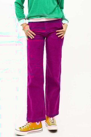 Rechte Velours Broek William - Fuchsia