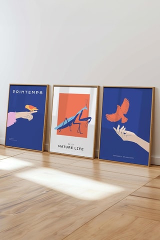 3 quadros - 50 x 70 cm