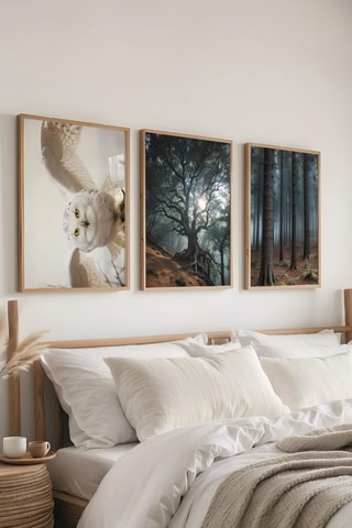 3 tableaux - 50 x 70 cm
