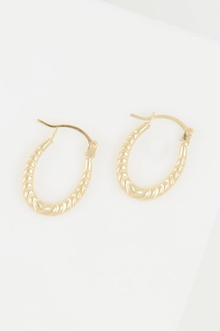 Argolas Evin 
Ouro amarelo