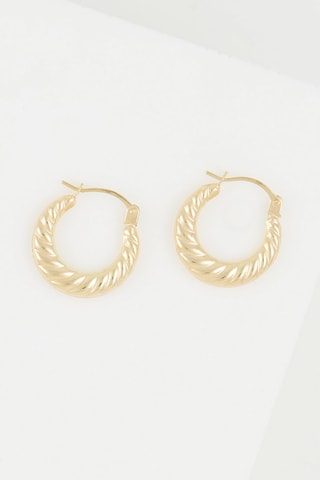 Argolas Iseult 
Ouro amarelo