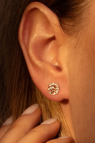 Brincos Arbre de vie Ouro amarelo