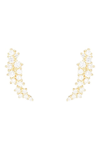 Brincos Flores cintilantes Ouro amarelo