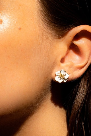 Brincos Orchidée Ouro amarelo