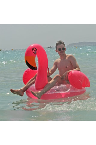 Zwemband Flamingo Roze - Vanaf 14 Jaar