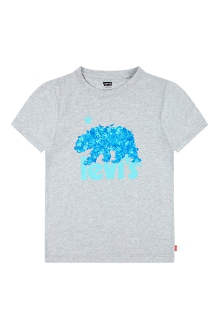 T-shirt - Rouge, bleu, vert et gris